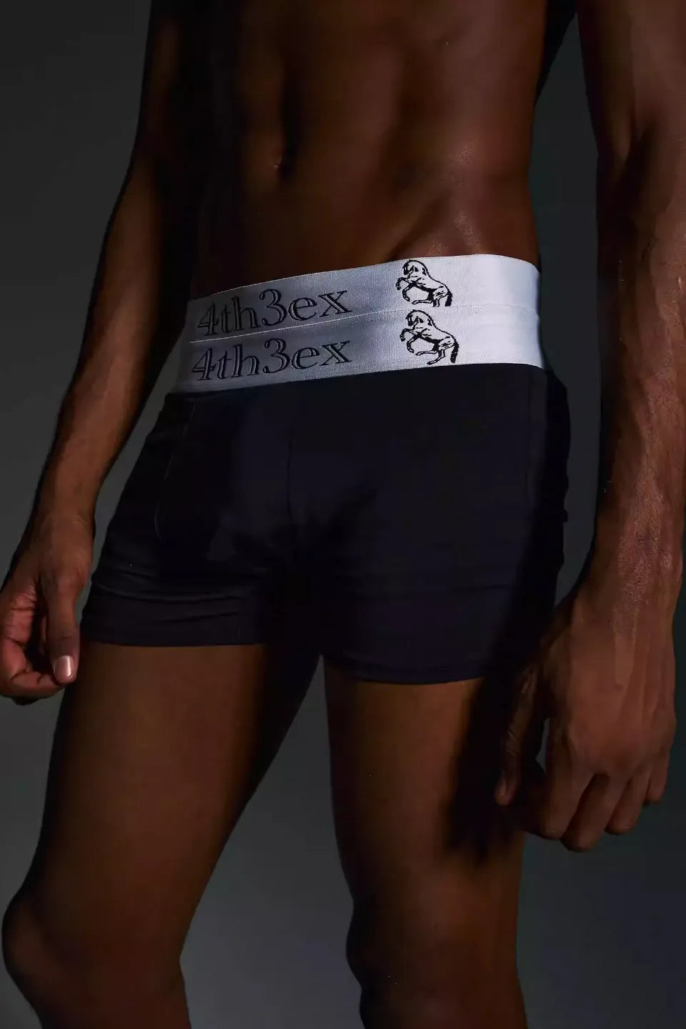 Double Waistband Horse Brief