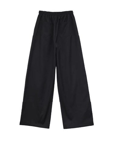 Layered TR Fabric Pleated Wide-Leg Pants [ID:0229PA]