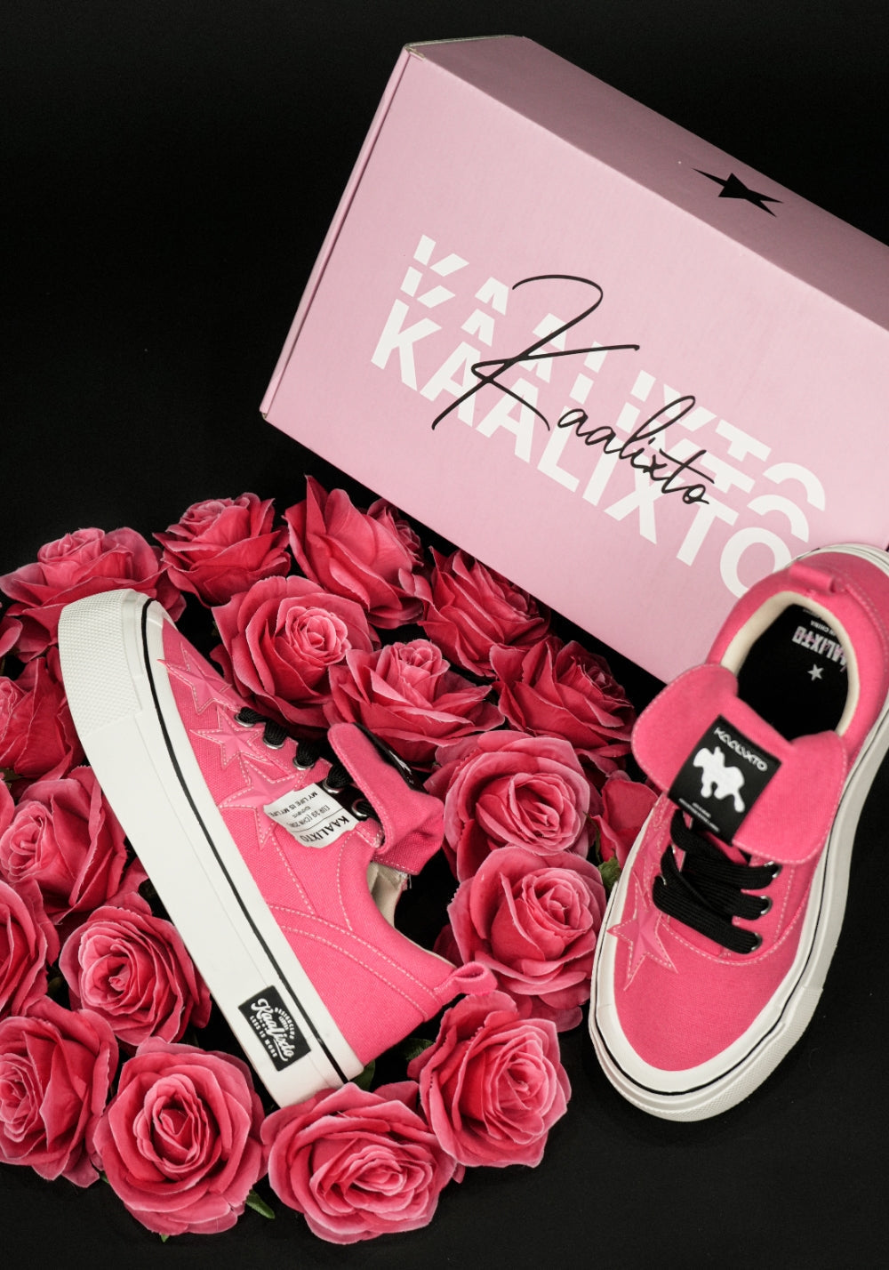 Raspberry Star-Panel Canvas Sneakers